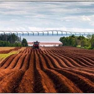 Meet your Posher, Rhonda